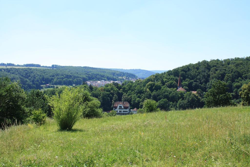 Ferienwohnung Kleines Lautertal Herrlingen Екстериор снимка